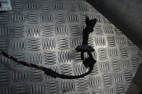 фото thumb №8, Джгут двері правий перед ml w164 a1645405806