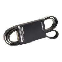 фото thumb №2, Ridex 305p0344 ремень клиновой многоручьевой do nissan pathfinder iii r51