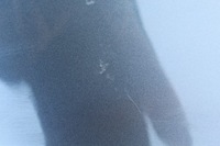 фото thumb №11, Кришка багажника зад задня tesla модель y 19-..r