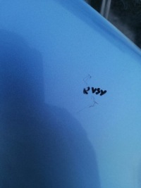 фото thumb №6, Крыло правый renault grand scenic iii 8-12 terpa