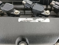 Купить Двигатель комплектный  hyundai kia sportage 2.0 16v cvvt g4kd, фото thumb