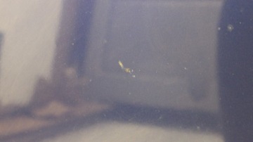 фото thumb №9, Капот кришка citroen c3 i рестайлінг 2005- kpu kpud