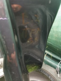 фото thumb №5, Дверь левый перед передние renault laguna iii teb66 pierwszy лак