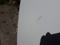 фото thumb №3, Двері задні праве renault twingo iii 14-