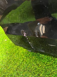 фото thumb №8, Volvo xc60 ii дверь левый перед передние