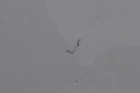 фото thumb №12, Ford transit connect tourneo ii дверь левый задняя задние боковой раздвижные