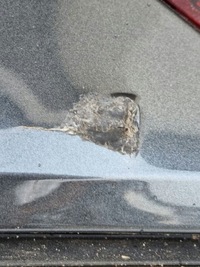 фото thumb №6, Audi a3 8v5 бампер задній задня