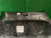 Купити Капот кришка двигуна перед передня fiat doblo i рестайлінг  284 wwa, фото thumb