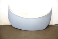 фото thumb №1, Капот renault megane scenic ii tea19