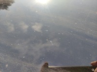 фото thumb №5, Vw tiguan ii 5na дах solar скло панорама люк 2018 rok