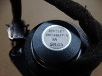фото thumb №3, Idealny динамік bentley 3w0 1