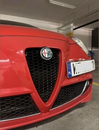 фото thumb №3, Решётка радиатора plaster соты | alfa romeo mito