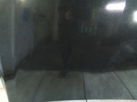 фото thumb №6, I222 капот opel insignia z22c