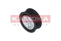 R0195 kamoka ролик направляющая ремень шпонка Оригинал, фото thumb