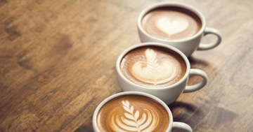 ЭЛЕКТРИЧЕСКАЯ КОФЕВАРКА COFFEE BREEDER 300 мл KAMILLE