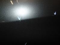 фото thumb №8, Peugeot 308 ii t9 дверь задняя левая kksd 5d