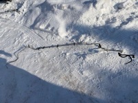 фото thumb №1, Шланг трубки топлива jaguar xf x260 3.0 v6 d gx73-9s284-cc