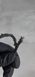 фото thumb №5, Audi a4 b9 джгут трубопровід електропроводка pdc бампера перед 8w0971095f