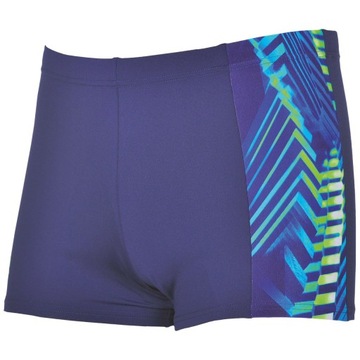 шорты для плавания Arena Spike Short 75