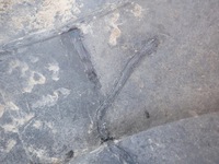 фото thumb №15, Hyundai i30 i hb 07- бампер задняя задний