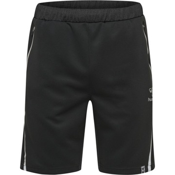 Мужские спортивные шорты Hummel CIMA SHORTS, размер M