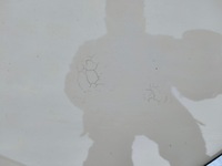 фото thumb №7, Капот крышка двигателя citroen c3 pluriel cabrio lata 2003-2010 цвет kdcb