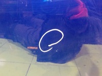 фото thumb №5, Ford b-max 15r 5d двері праве задня