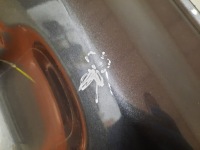 фото thumb №8, Toyota c-hr i 1 16- crossover двері передні перед лівий ліва