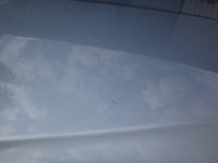 фото thumb №7, Капот кришка двигуна bmw x3 e83 bluewater