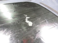 фото thumb №5, Стекло задняя крышка багажника a1088415