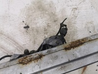 фото thumb №10, Балка бампера перед land rover freelander ii l359