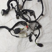 фото thumb №5, Ford puma mk2 джгут електропроводка двигуна 1.0 ecoboost l1bt-12c508-bb