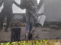 фото thumb №8, Renault laguna ii капот кришка двигуна nv676