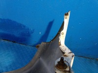 фото thumb №12, Hyundai h200 бампер перед передній