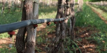 Kroplownik z kompensacją ciśnienia 2 l/h (100szt)