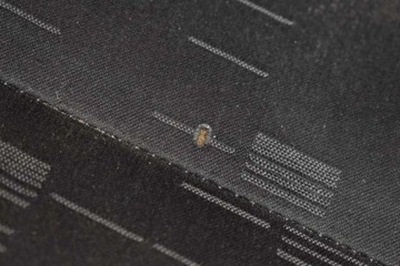 фото thumb №6, Сиденье правый пассажира двойной eu citroen berlingo 2 ii 08-12