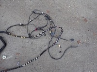 фото thumb №11, Джгут салону vw passat b8 sedan 2016 2.0 dsg eu 3g0971459 7278