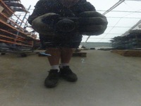 фото thumb №11, Дверь fiat croma 2 ii 05-11r. левая передние 819