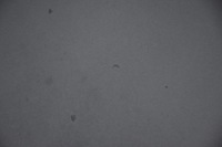 фото thumb №9, Капот крышка двигателя audi a6 c6