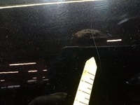 фото thumb №7, Jaguar xf ii x260 sedan двері зад праві задні santorini чорний