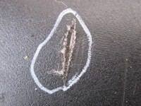 фото thumb №13, Bmw x3 e83 07r шторка багажника