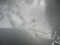 фото thumb №8, Крила лівий перед передній vw golf v + 04-16r