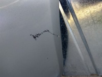 фото thumb №9, Бампер задняя audi a4 b7 sline ly7w sedan 04-08