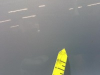 Ford s-max mk1 рестайлинг  дверь перед правое prrzednie dark micastone Цена, фото thumb