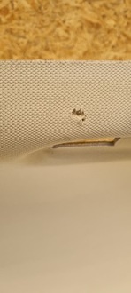 фото thumb №12, Opel insignia kombi b потолок