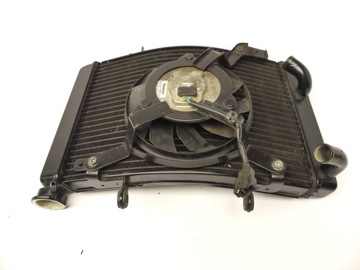 OSŁONA CHŁODNICA WENTYLATOR RADIATOR TRIUMPH STREET TRIPLE 675 R 13+