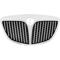 фото thumb №1, Решётка радиатора lancia ypsilon 03-06