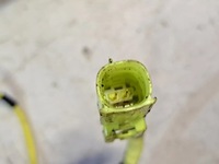 фото thumb №3, Lexus rx 450h 2021 подушки безпеки повітряні