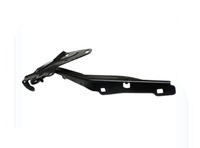 фото thumb №1, Петля лівий