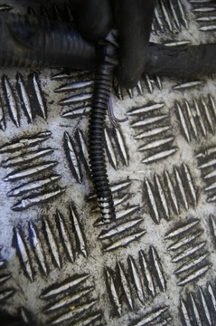 фото thumb №7, Mustang v 3.7 v6 установка камеры двигателя корпус